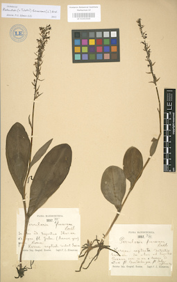 LE 01003509