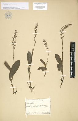 LE 01003510