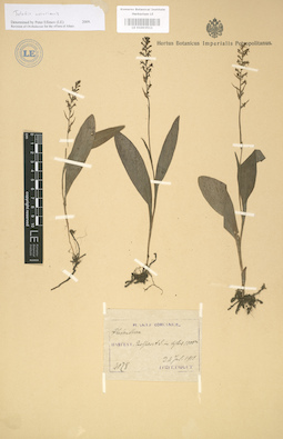 LE 01003511