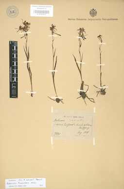 LE 01003512