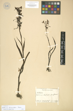 LE 01003514