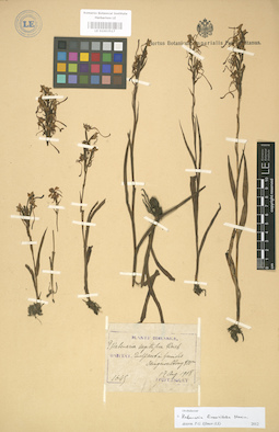 LE 01003517
