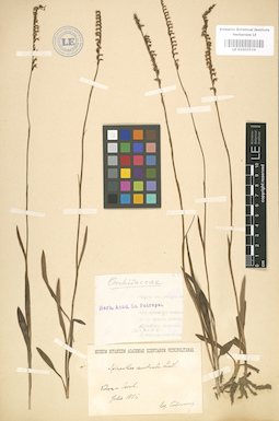 LE 01003534