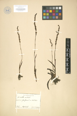 LE 01003535