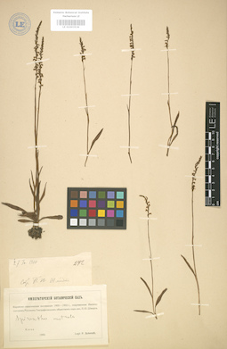LE 01003536
