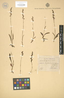 LE 01003537