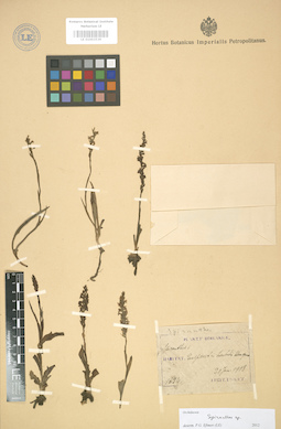 LE 01003539