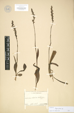 LE 01003540