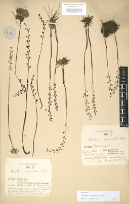 LE 01003545
