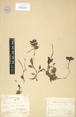 LE 01003548
