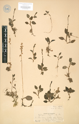 LE 01003549