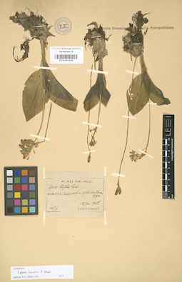 LE 01003558