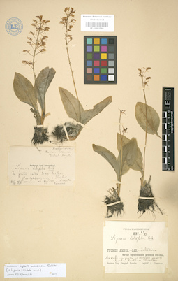 LE 01003560