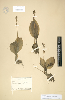 LE 01003562