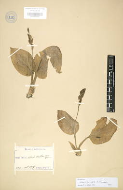 LE 01003563