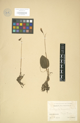 LE 01003564