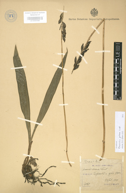 LE 01003568