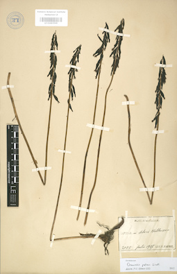 LE 01003569