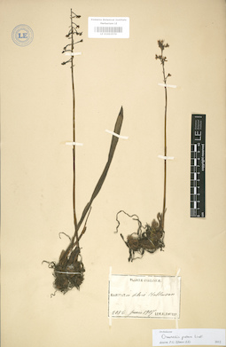 LE 01003570