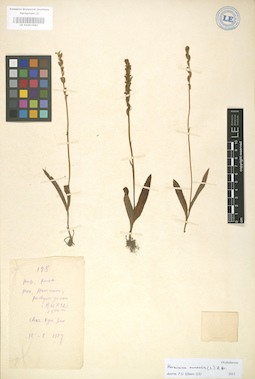 LE 01003582