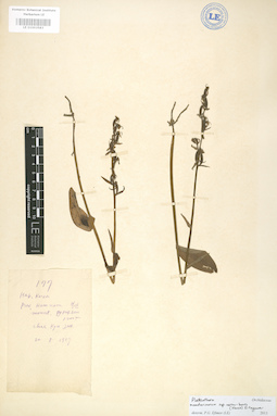 LE 01003583