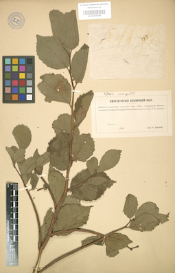 LE 01003588