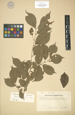 LE 01003600