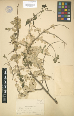 LE 01003601
