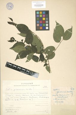 LE 01003602