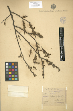 LE 01003607