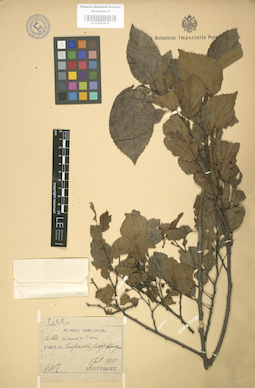 LE 01003610