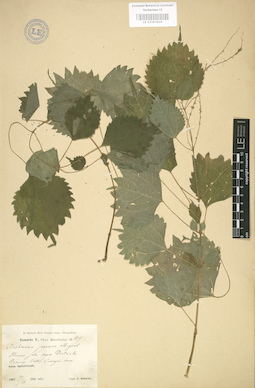 LE 01003614