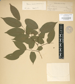 LE 01003622