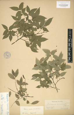 LE 01003623