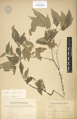 LE 01003624