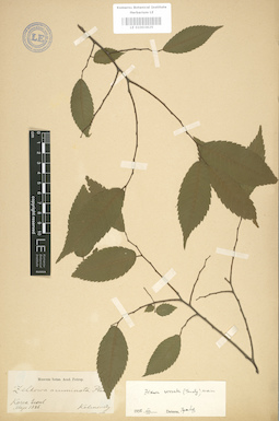 LE 01003625