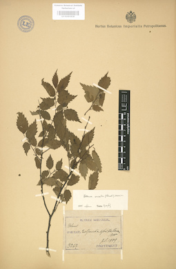 LE 01003628