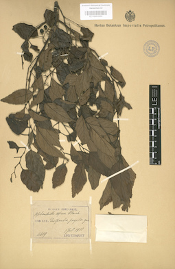 LE 01003630