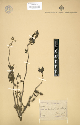 LE 01003633
