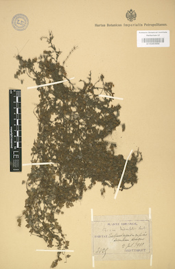 LE 01003656