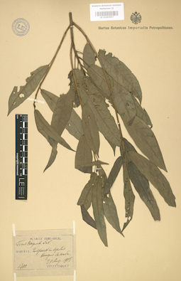 LE 01003657