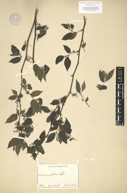 LE 01003660
