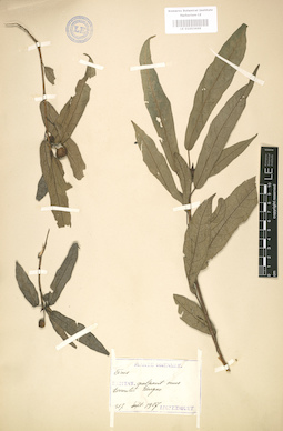 LE 01003669