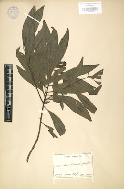 LE 01003670