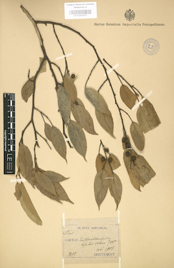 LE 01003672