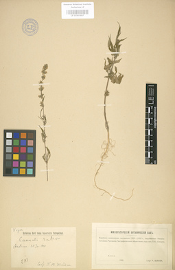 LE 01003687