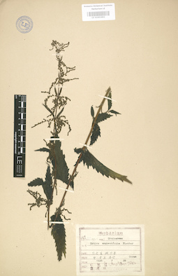 LE 01003692