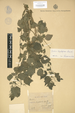 LE 01003693