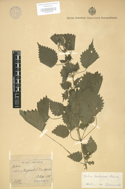 LE 01003695