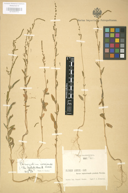 LE 01003712